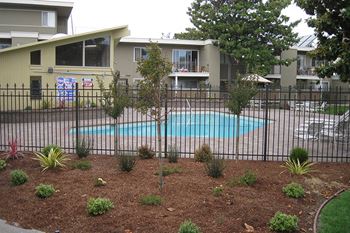 Beautifully manicured courtyard